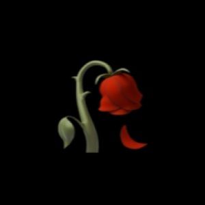 Meet your Posher, Paige